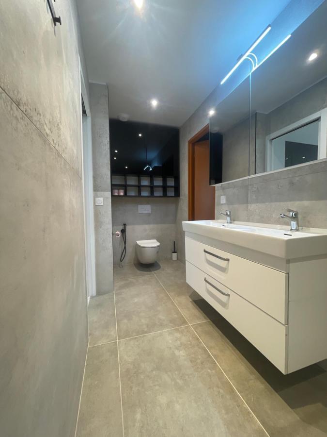 Chez Flo Apartment เกรอน็อบล์ ภายนอก รูปภาพ